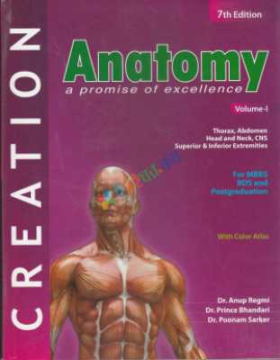Creation: Human Anatomy