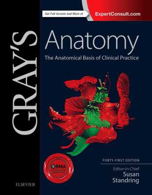 Grays Anatomy, The Anatomical Basic of Clinical Practice