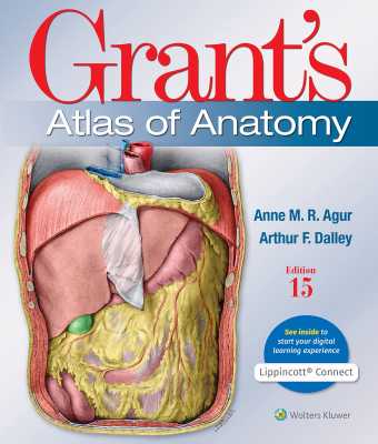 Grants: Atlas of Anatomy 15th Edition